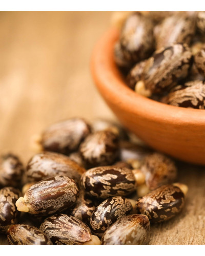 HUILESENS - Huile de Ricin - Redensifie & Stimule la Pousse - 30 ml